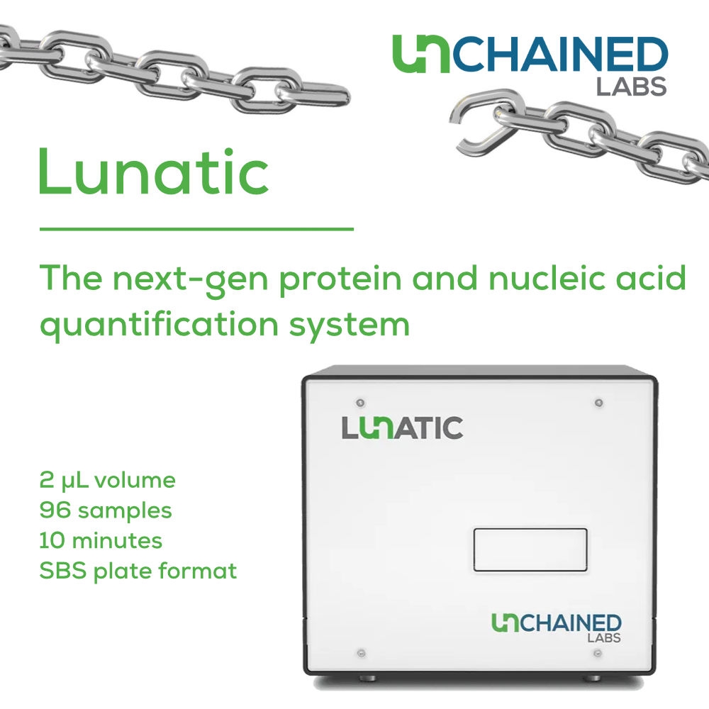 Lunatic 1000sq