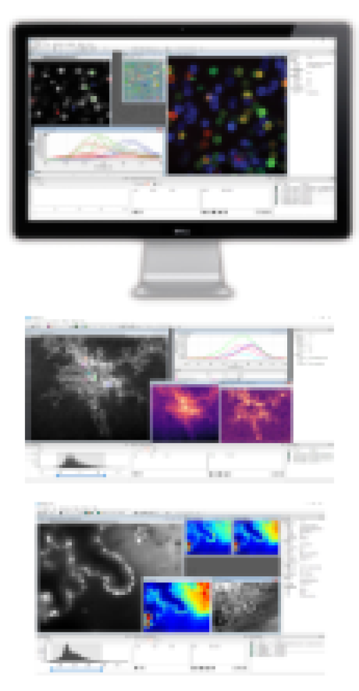 NIR-II IN VIVO Imaging 4