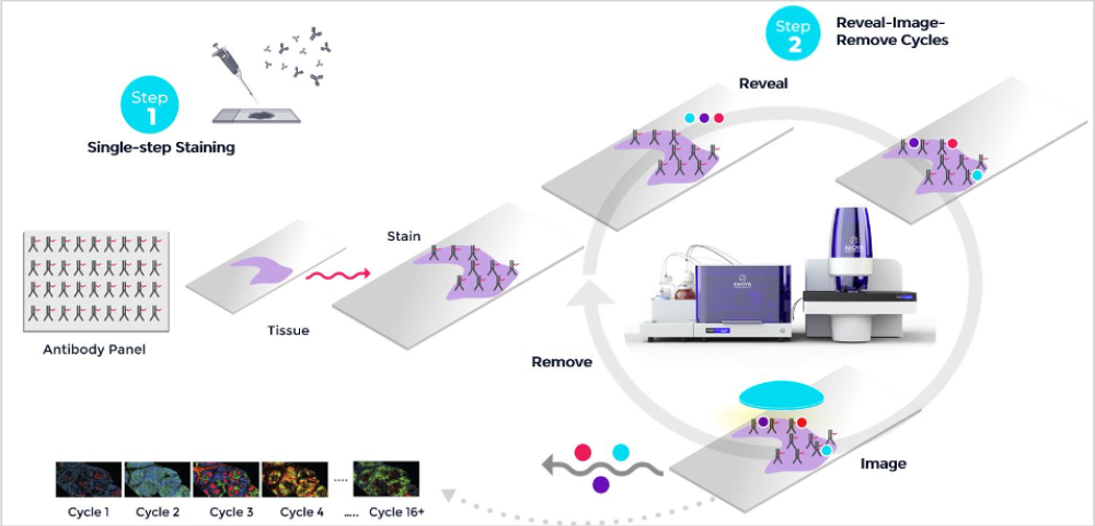pcf workflow