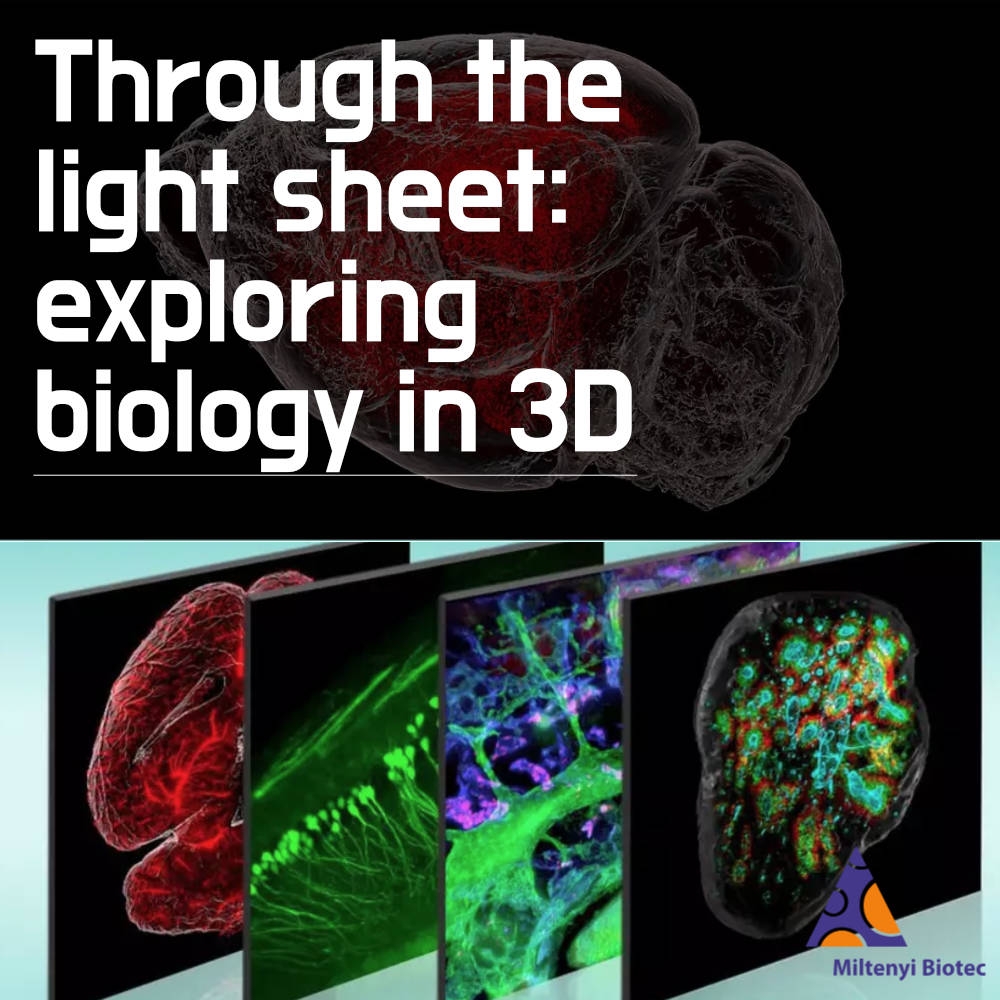 Through the light sheet: exploring biology in 3D