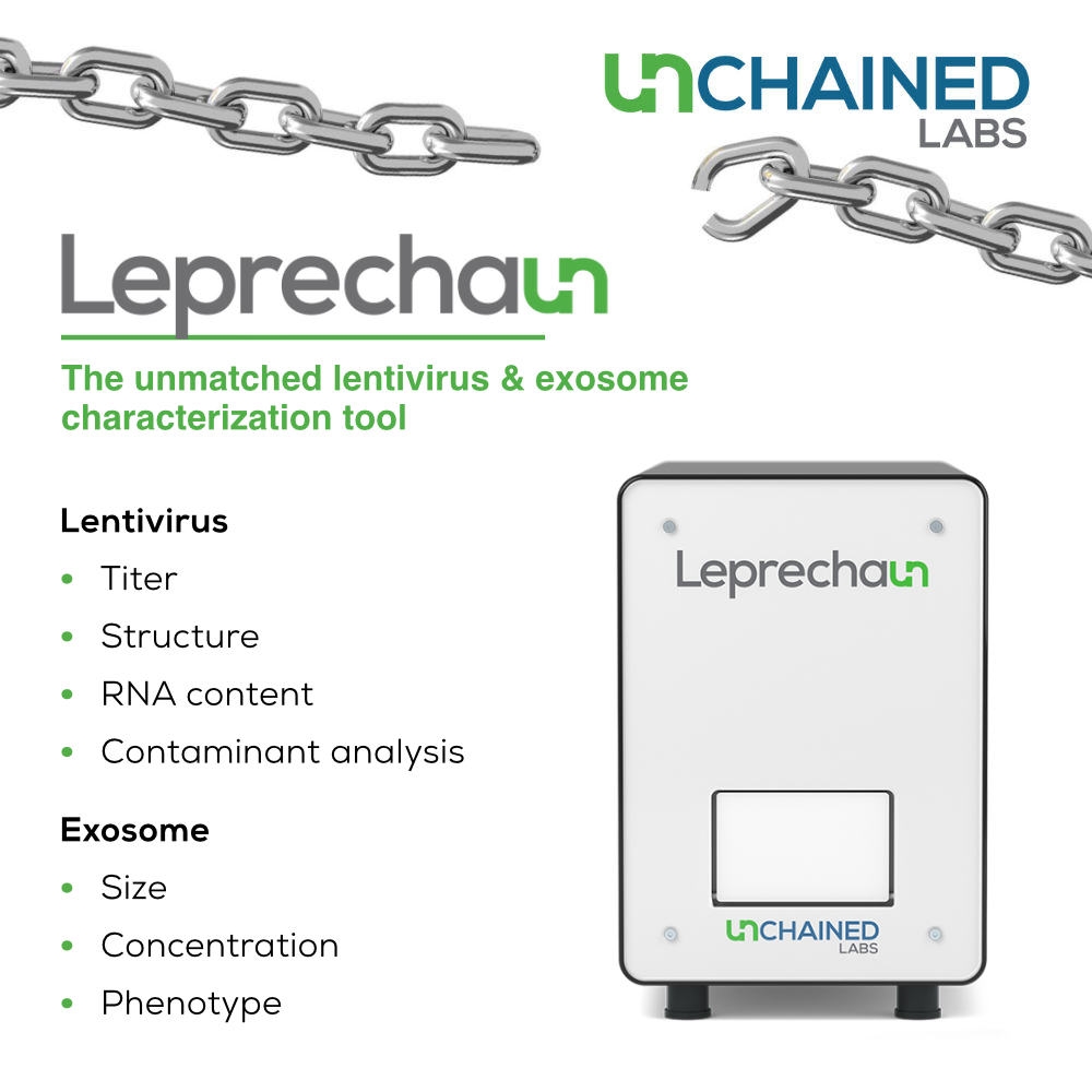 Lepreshaun_1