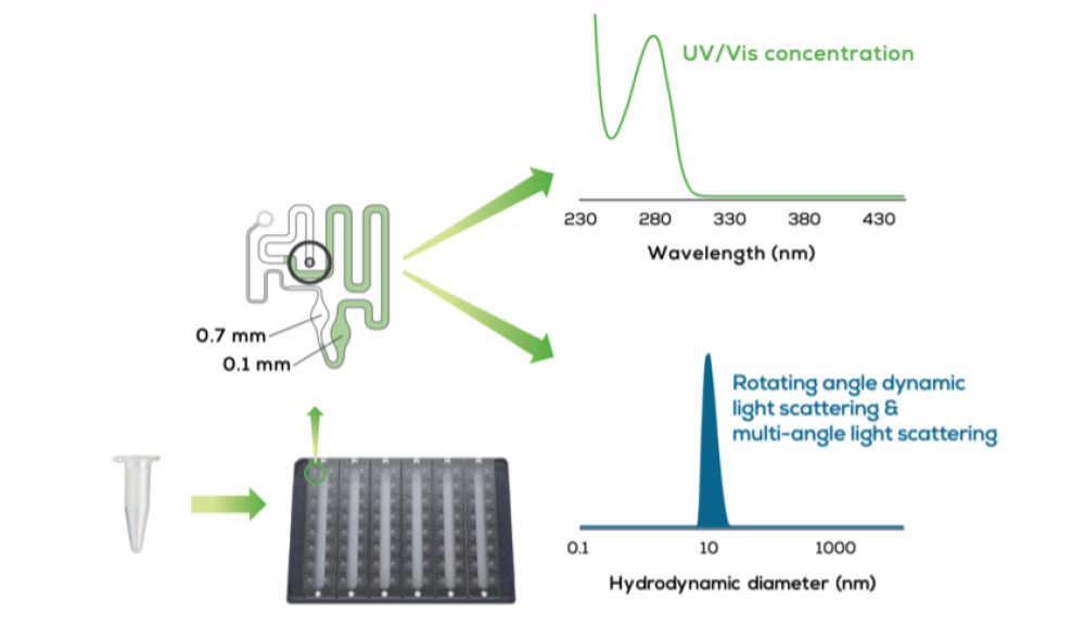 Quantification and Sizing Analyzer
