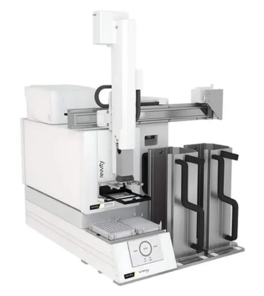 nivo6