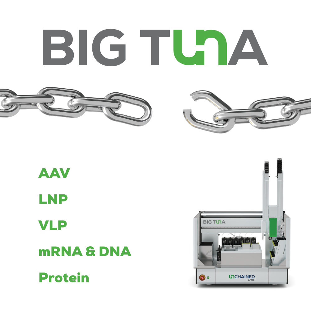 BX_sqLogo_1000x1000_2