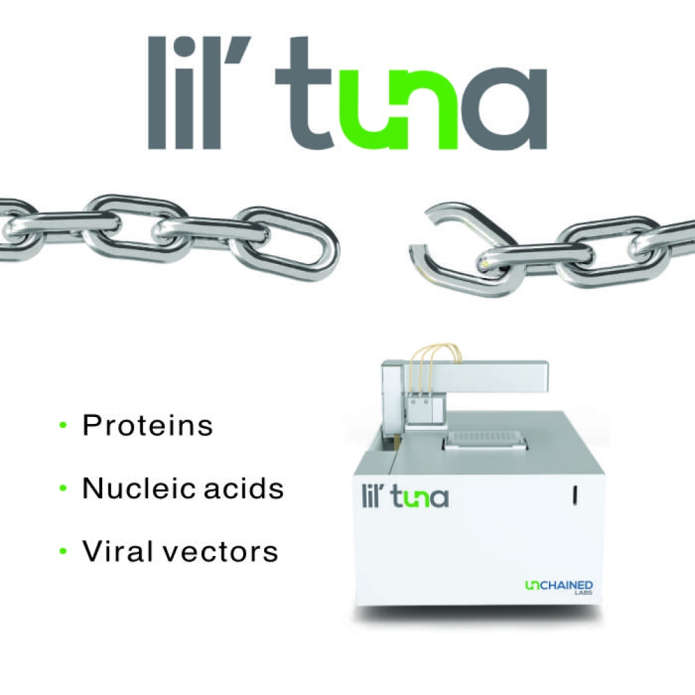 LittleTuna_1