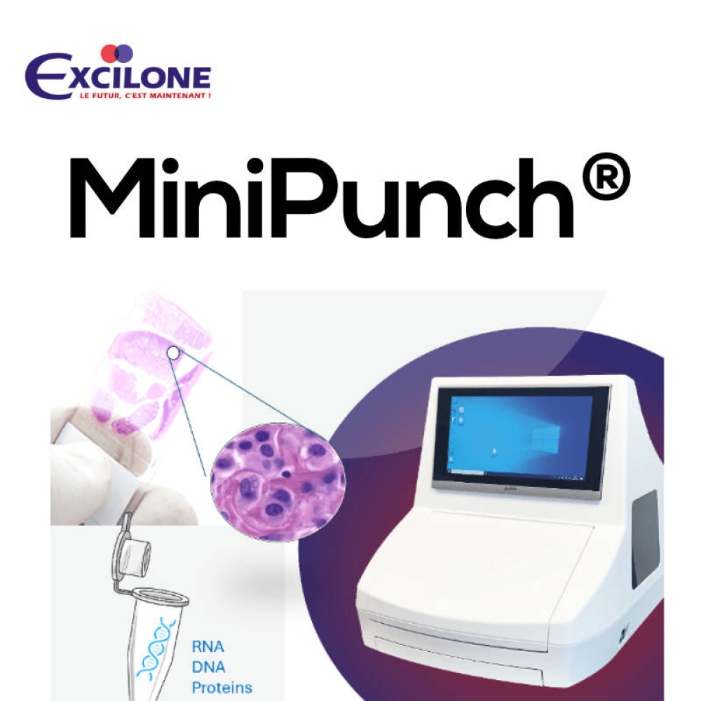 MiniPounch sq