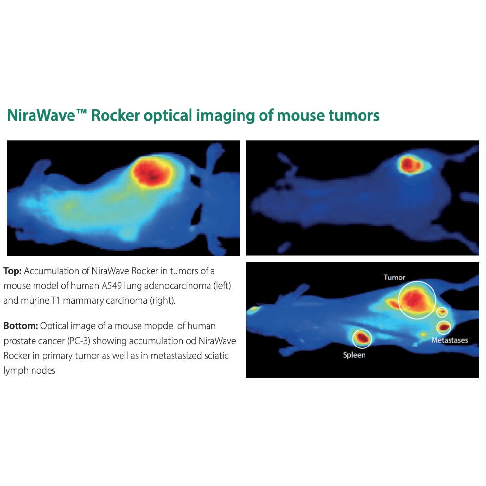 Viscover Optical 1000sq_2