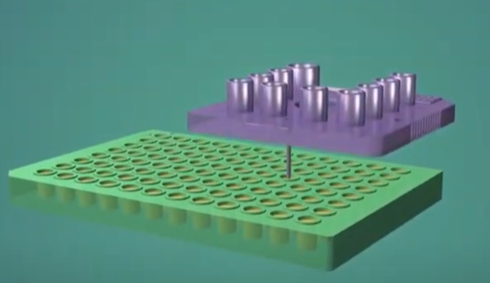 Enabling protein analysis with the LabChip GXII Touch system